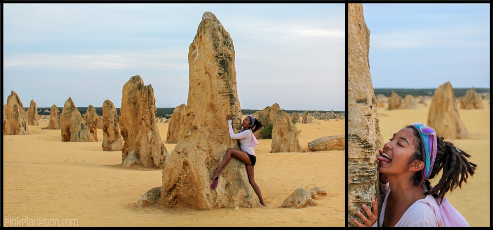 Collage of me and the Pinnacle Desert, Western Australia