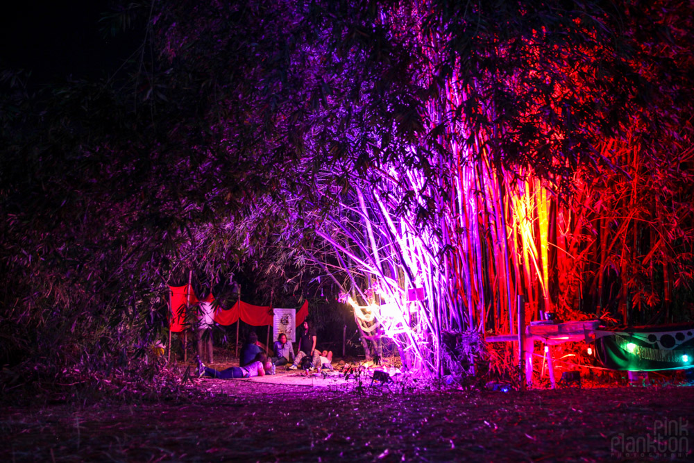 people sitting in bamboo forest at night at Festival Ometeotl