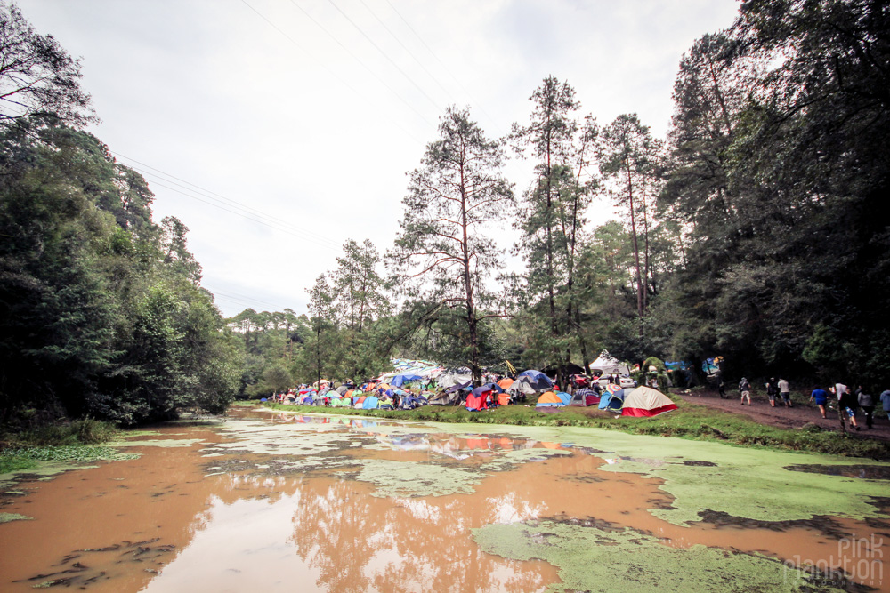 Poison Festival in Mexico lake