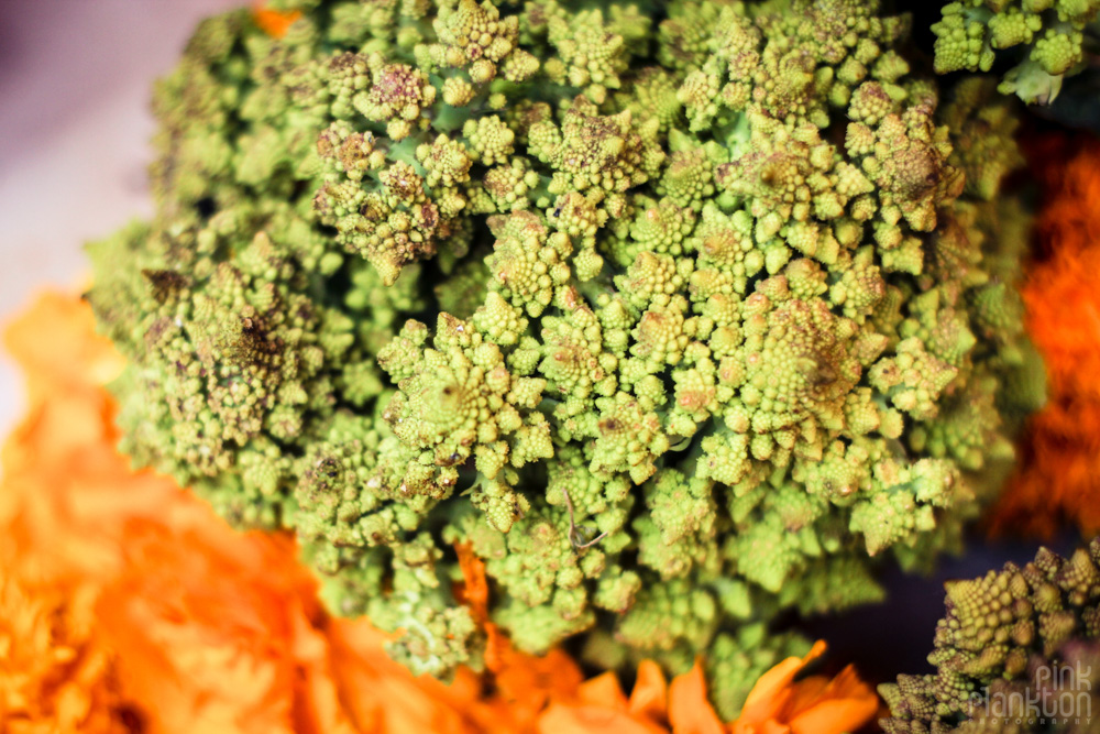 fractal brocolli