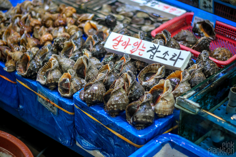 shells in fish market in Seoul, South Korea