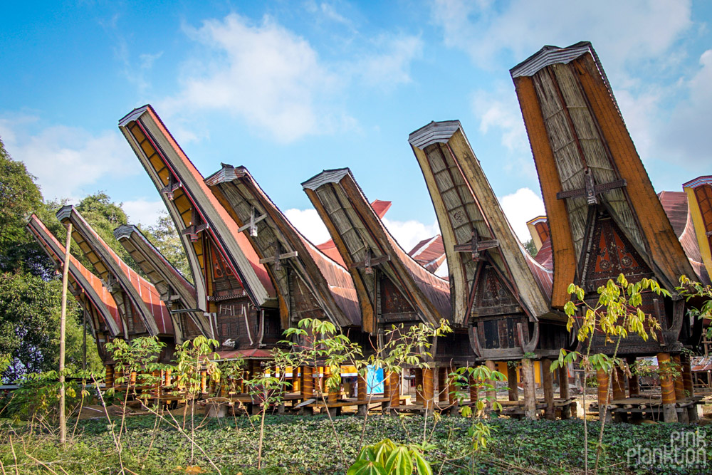 Tongkonan boat houses in Toraja village, Sulawesi