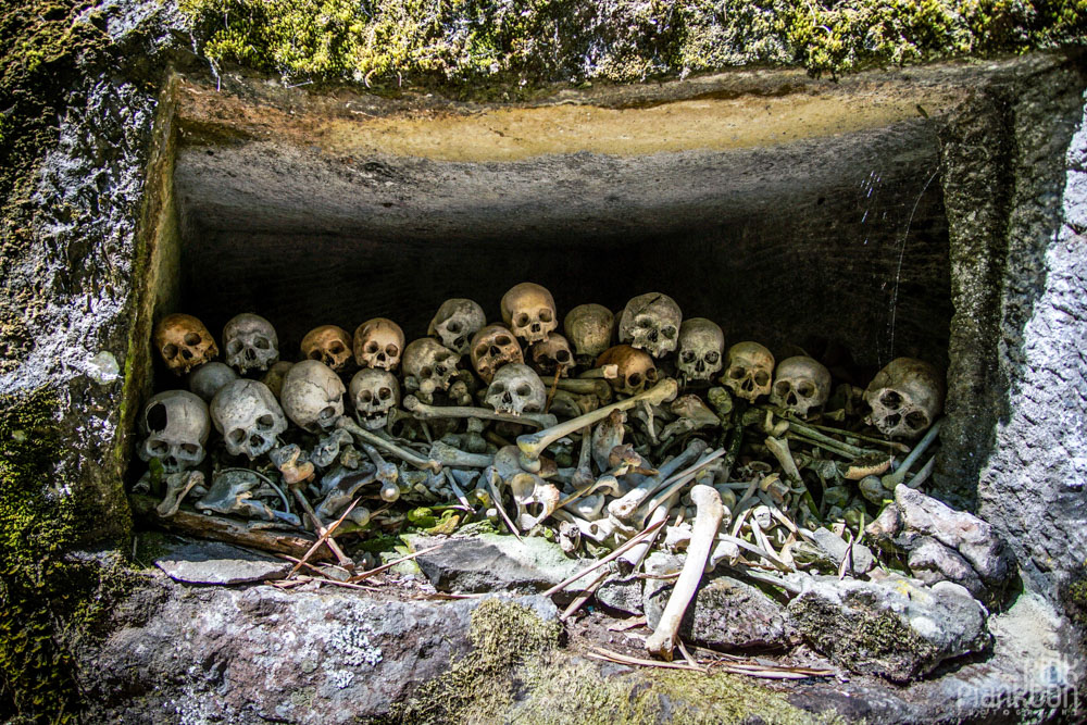 skulls in Toraja village, Sulawesi