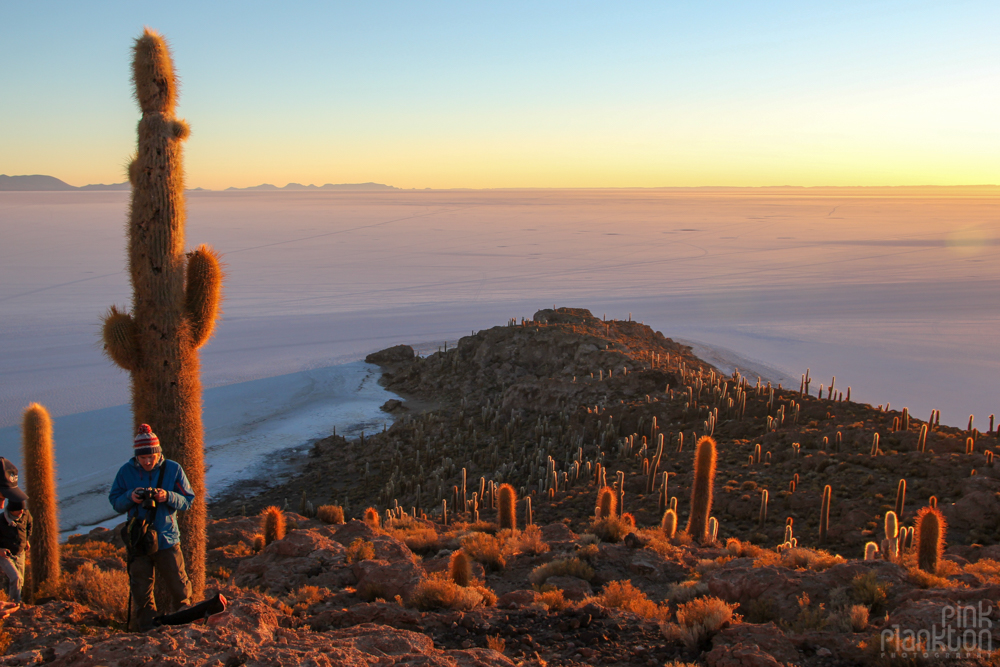 sunrise and cacti on Isla Incahuasi in Bolivia's Salar de Uyuni