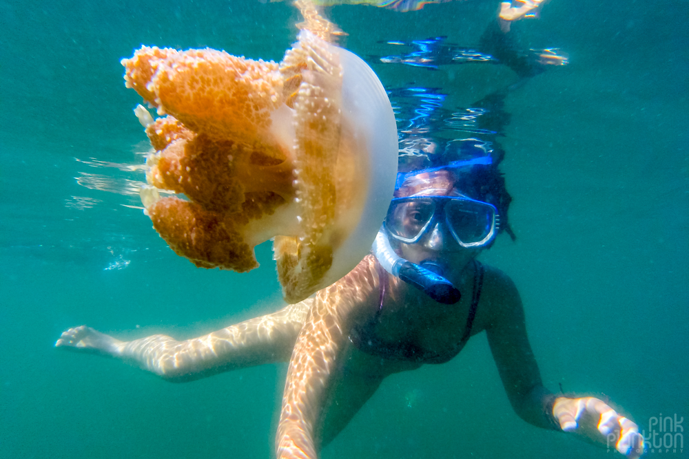 snorkeler in jellyfish lake in Togean Islands, Sulawesi, Indonesia