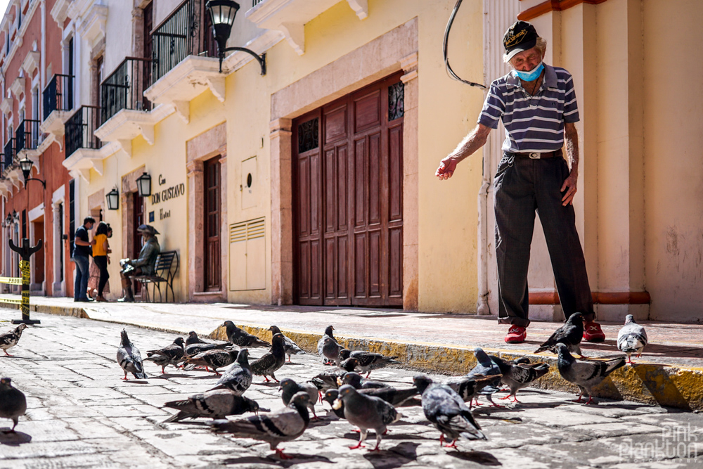 man feeding pigeons on the streets of Campeche