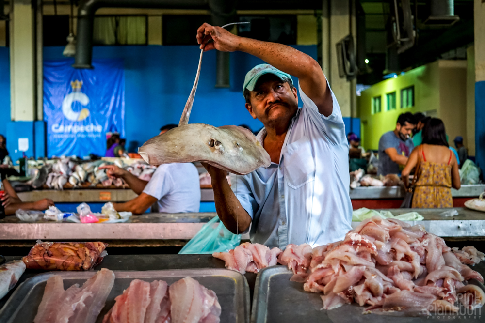 Campeche local market, man holding stingray