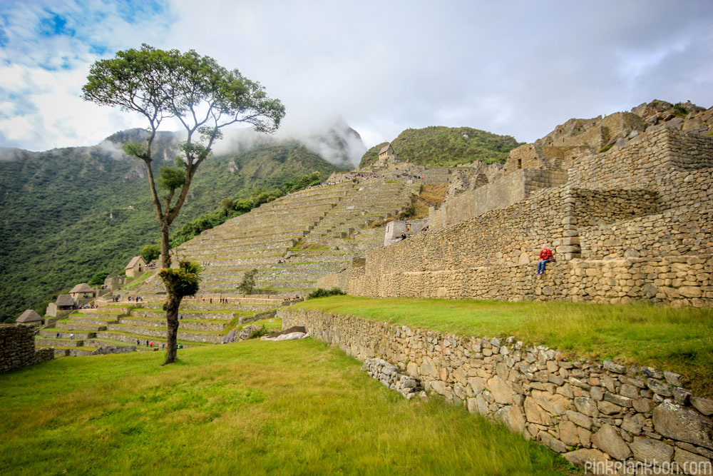 Machu Picchu terraces