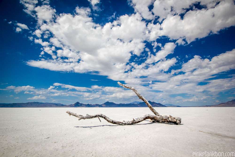 Salt Lake City Salt Flats