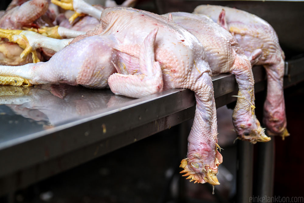 dead chickens in market