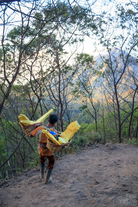 sulfur miner at Kawah Ijen