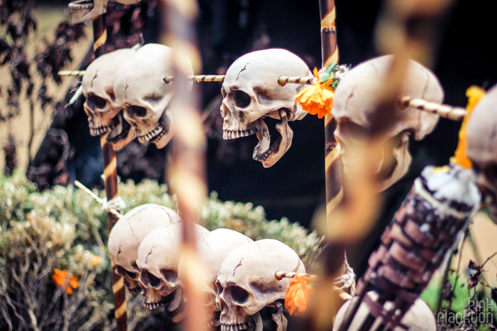 Poison Festival in Mexico skulls