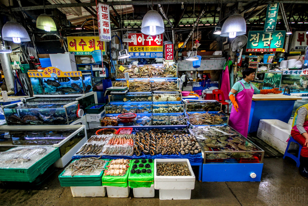 fish market in Seoul, South Korea