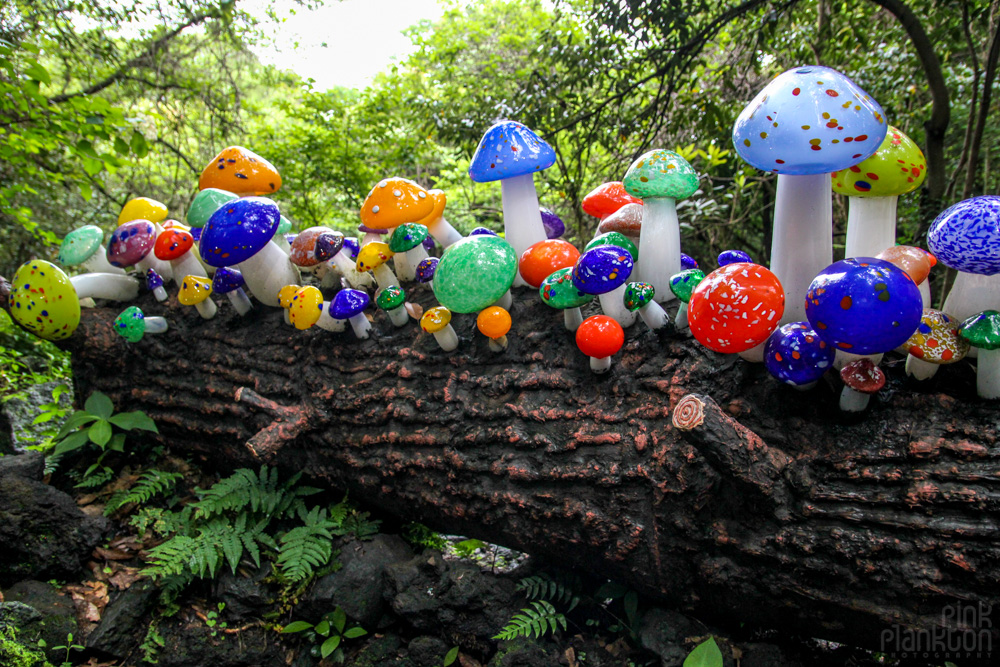 glass mushrooms in South Korea's glass museum