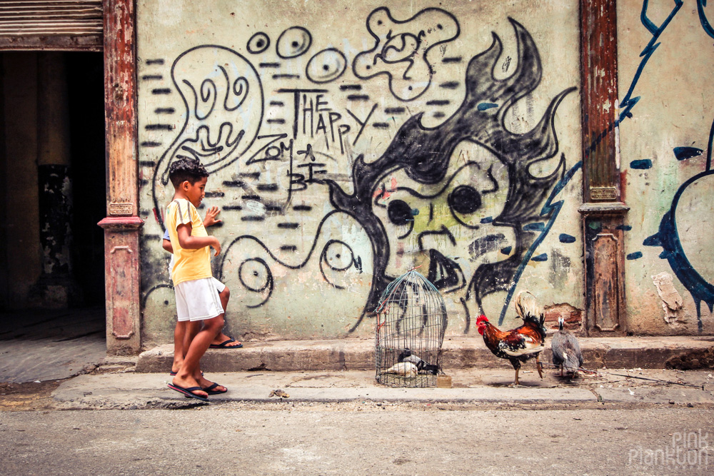 kids with rooster and bird in cage in Havan Cuba with graffiti