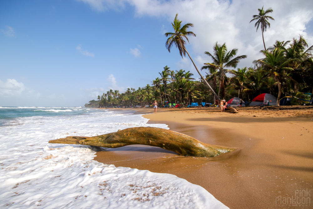 beach at Tribal Gathering Festival