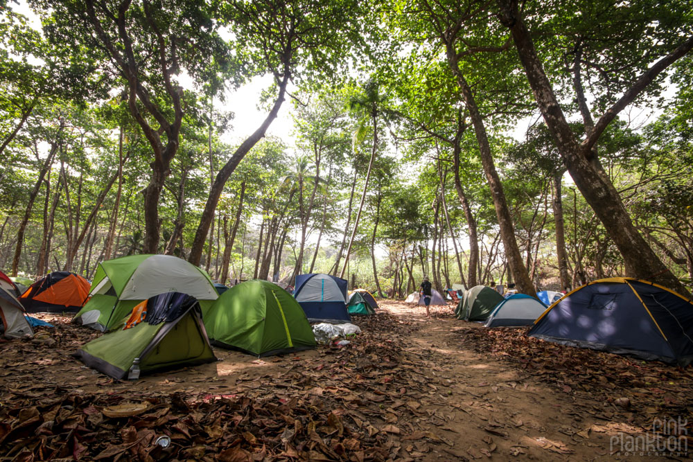 camping at Tribal Gathering Festival