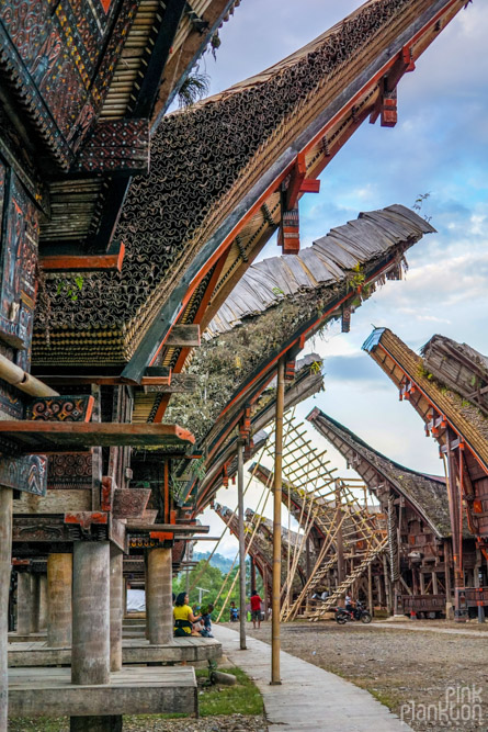 Tongkonan boat houses in Toraja village, Sulawesi