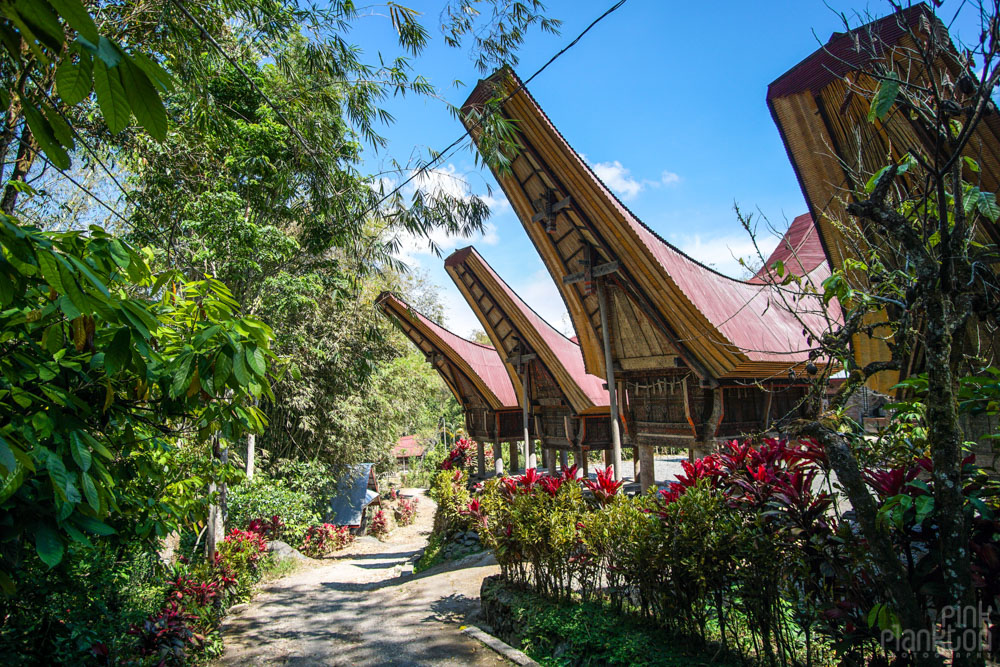 Tongkonan boat houses in Toraja village, Sulawesi