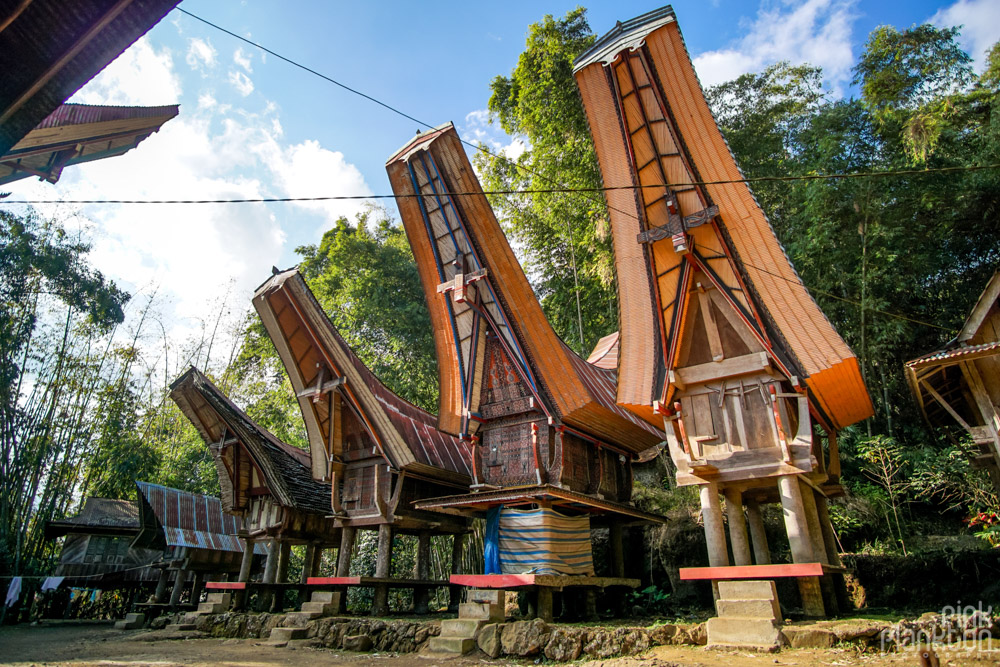 Tongkonan boat houses in Toraja village, Sulawesi