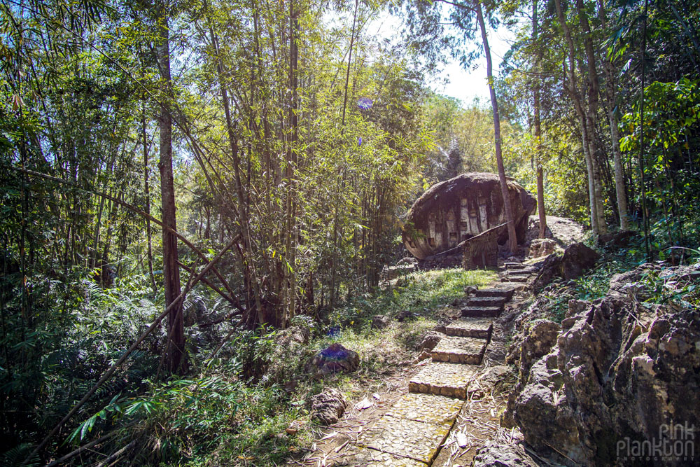 stone grave in forest in Toraja, Sulawesi