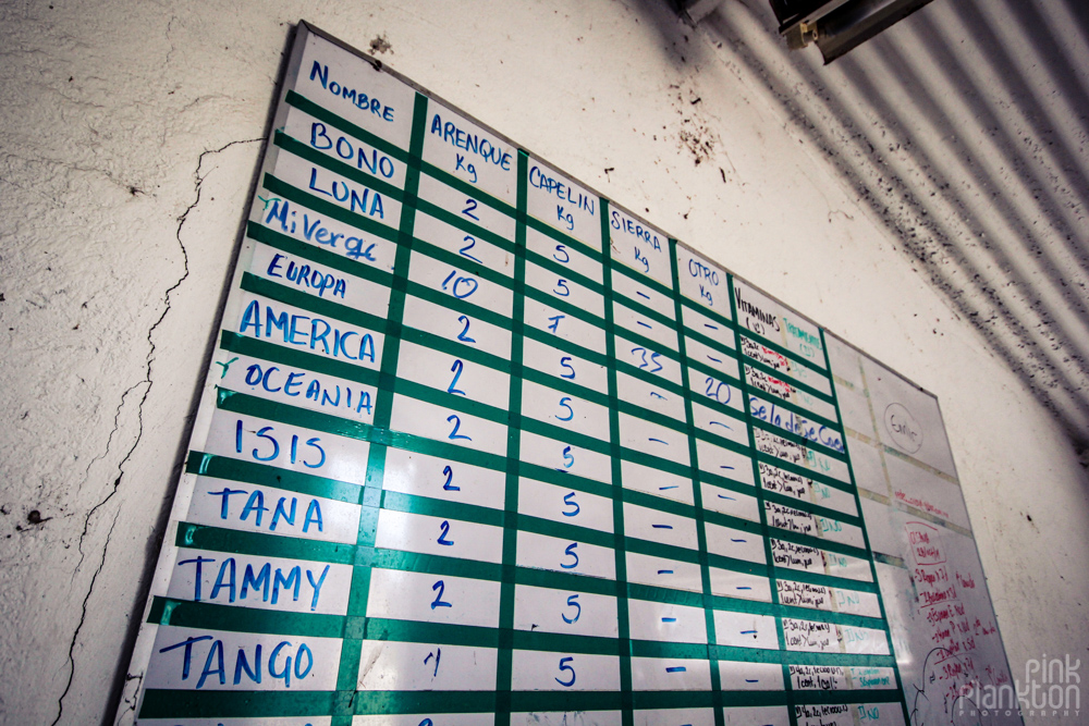 abandoned animal board at Atlantis Water Park in Mexico City