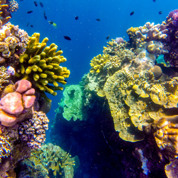 17 Photos That Prove Bunaken Island Is a Snorkeler’s Dream