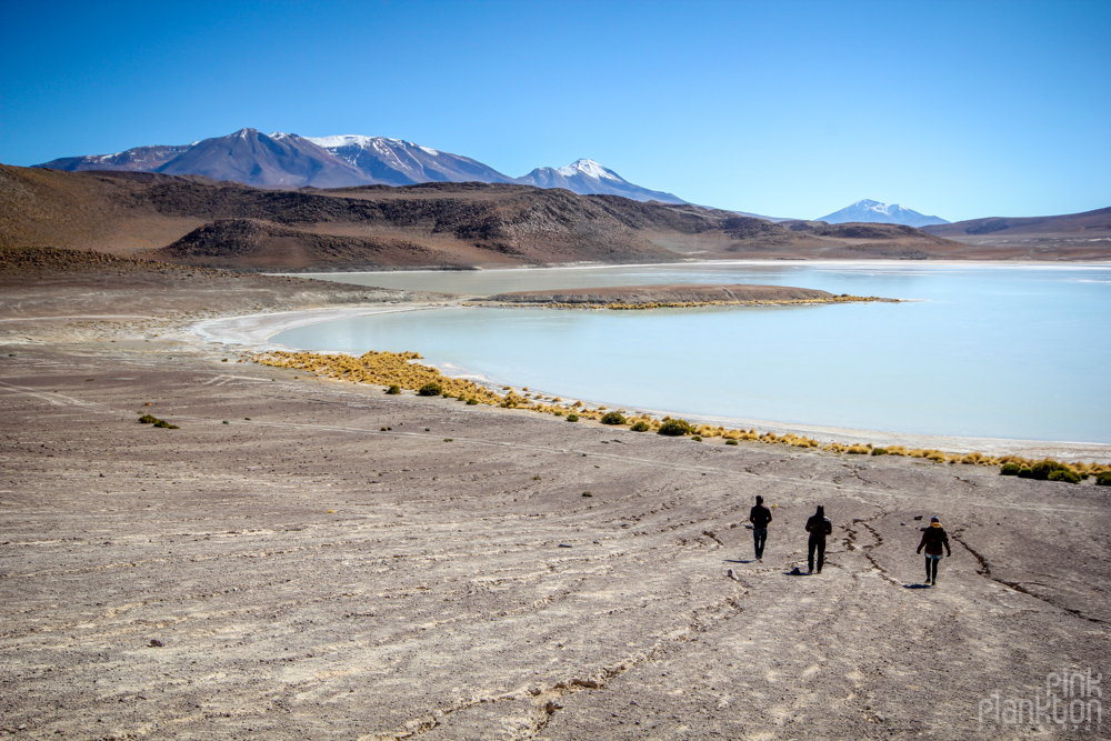 lagoon in Bolivia's desert