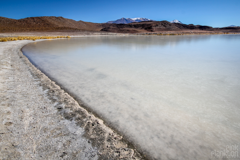 lagoon in Bolivia's desert