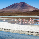 36 Photos That Show the Beauty of Bolivia’s Deserts