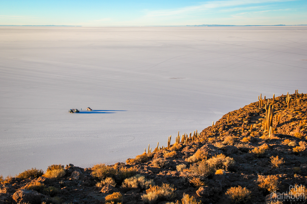 view of cars and Bolivia’s Salar de Uyuni from Isla Incahuasi