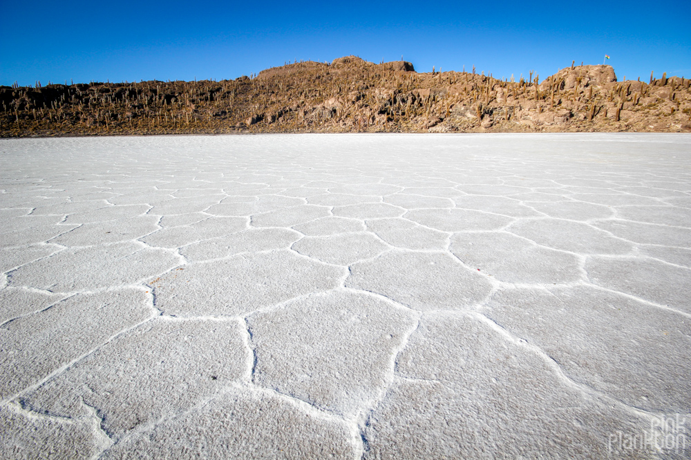 Salar de Uyuni and Isla Incahuasi in Bolivia