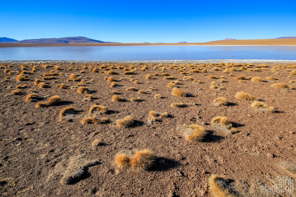 lagoon and desert in Bolivia