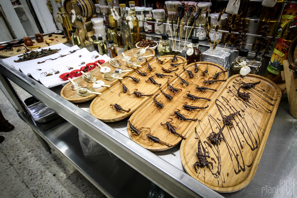 chocolate scorpion deserts at Mercado San Juan Gourmet Market in Mexico City