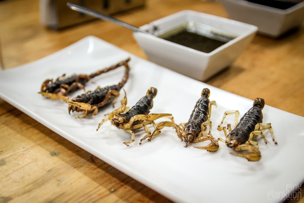 scorpions at Mercado San Juan Gourmet Market in Mexico City