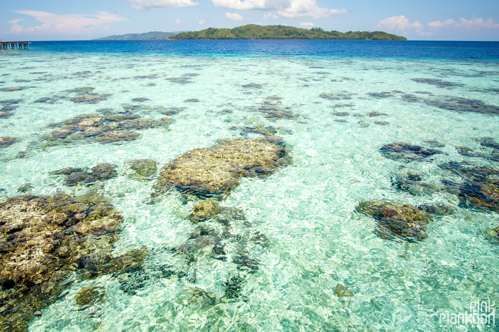 coral and clear water of Pulau Papan in the Togean Islands