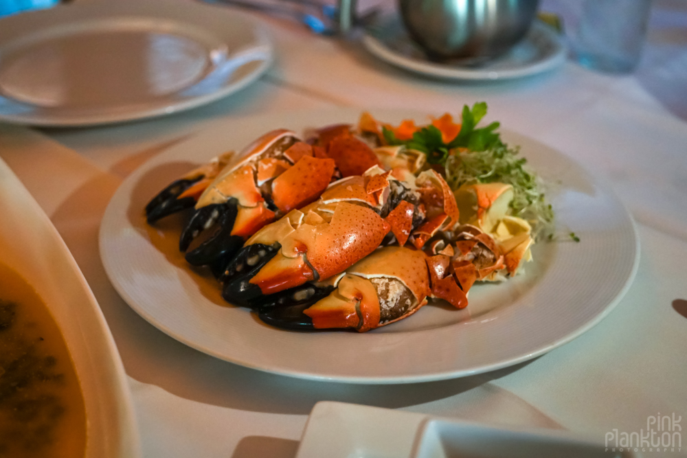 Campeche crab claws manos de congrejos