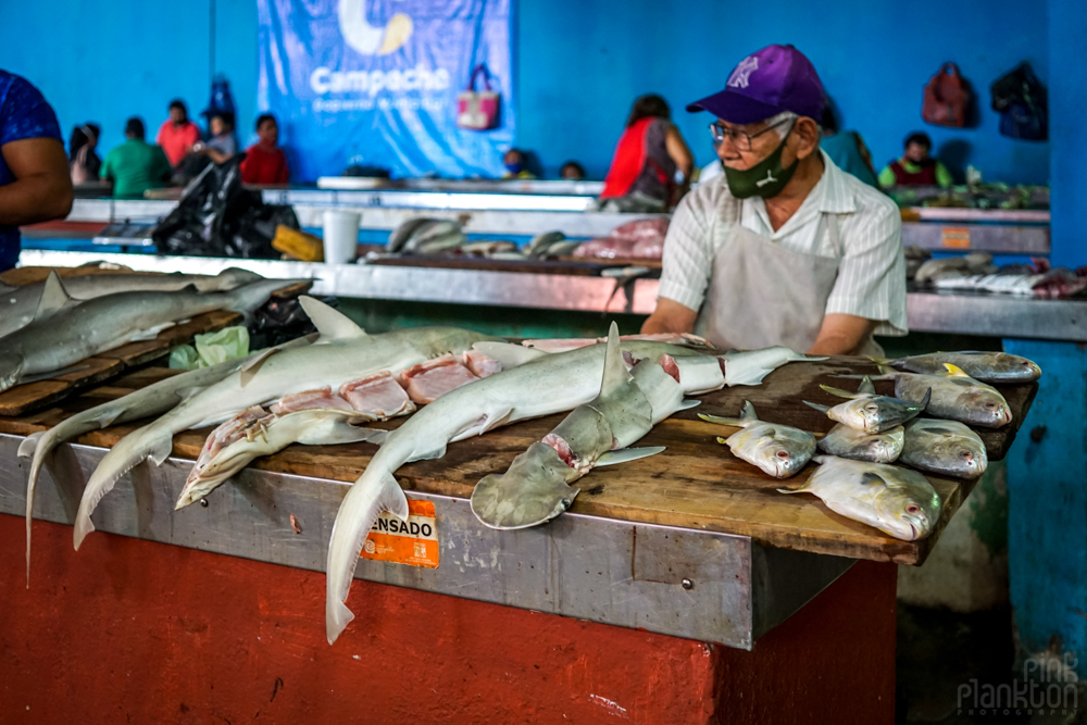 cazon at Campeche local market