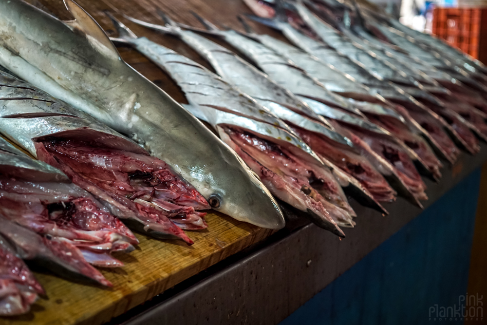 cazon at Campeche local market