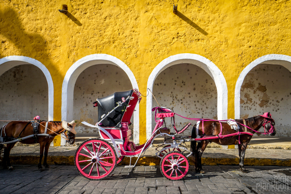 horse-drawn carriage on the streets of Izamal, Mexico