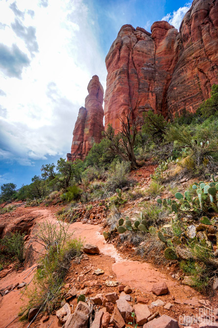 Cathedral Rock in Sedona