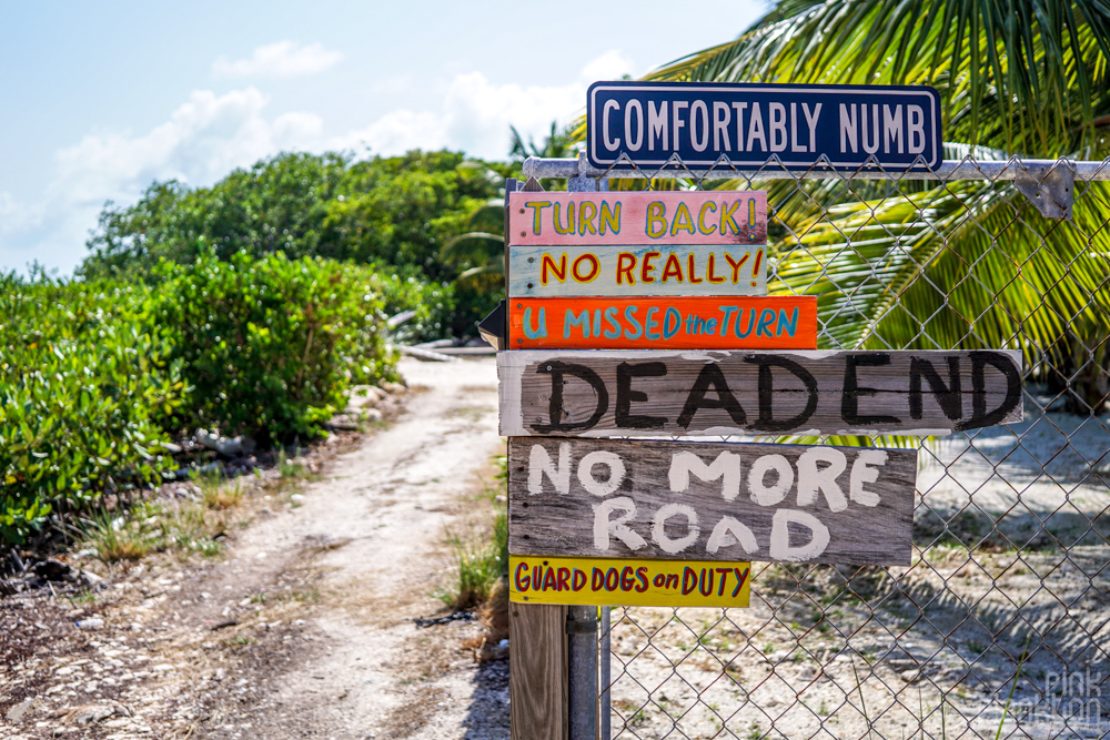 signs on Caye Caulker in Belize