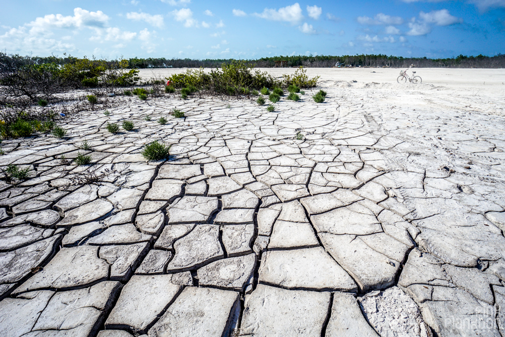 dry mud playa on Caye Caulker