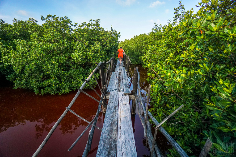 wooden bride over red water on Caye Caulker