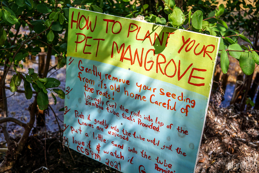 pet mangrove sign on Caye Caulker