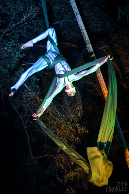 aerial silk performer at Cosmic Convergence Festival