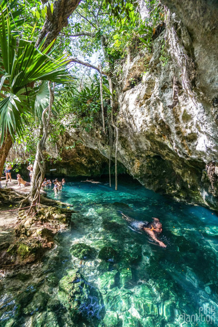 man swimming in Gran Cenote