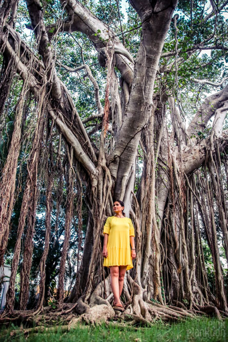 tree with vines and woman standing