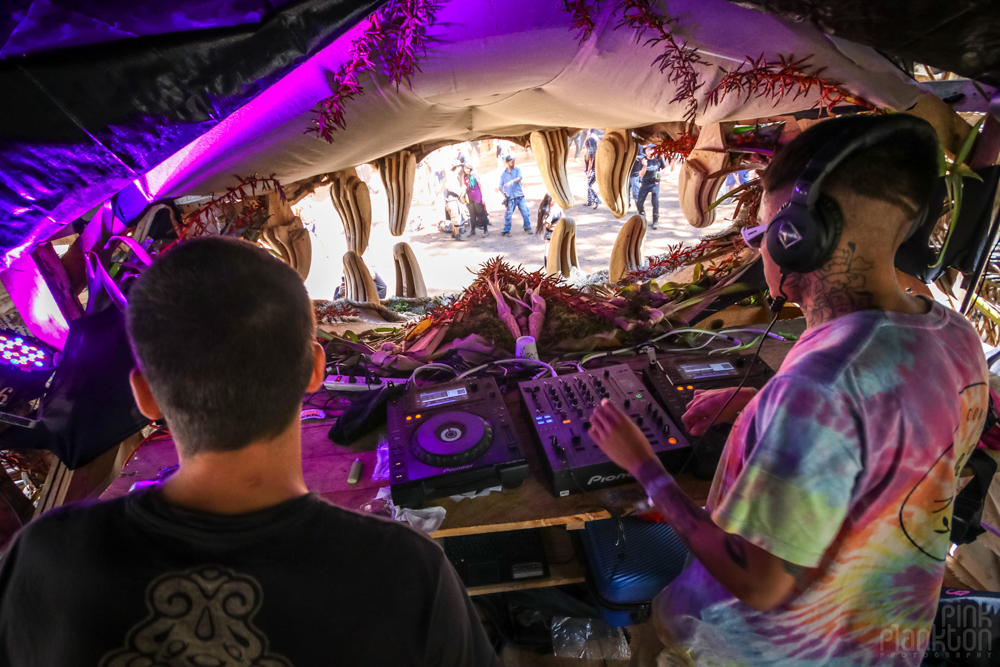 DJs at Festival Psycristrance