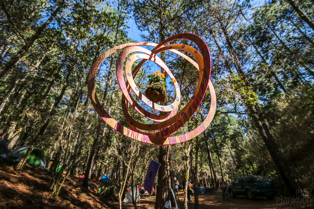 hanging art in forest at Festival Psycristrance